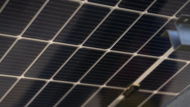 Снимка: Bloomberg LP