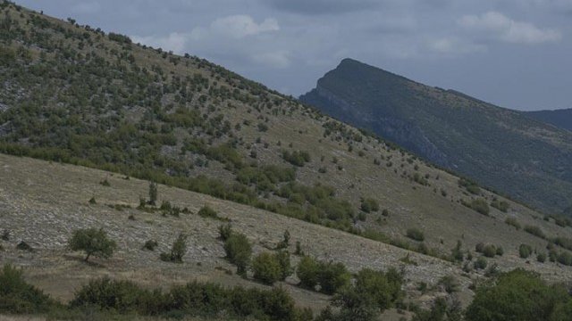 <p>
	<em>Снимка: авторът</em></p>
