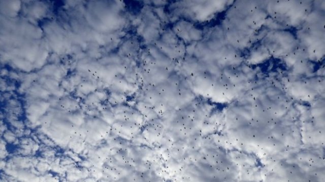 <p>
	<em>Снимка: Pixabay.com</em></p>
