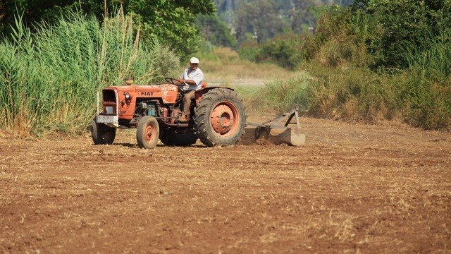 <p>
	<em>Снимка: Pixabay</em></p>
