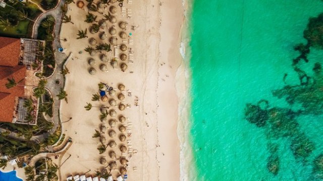 <p>
	<em>Снимка: Unsplash.com</em></p>
