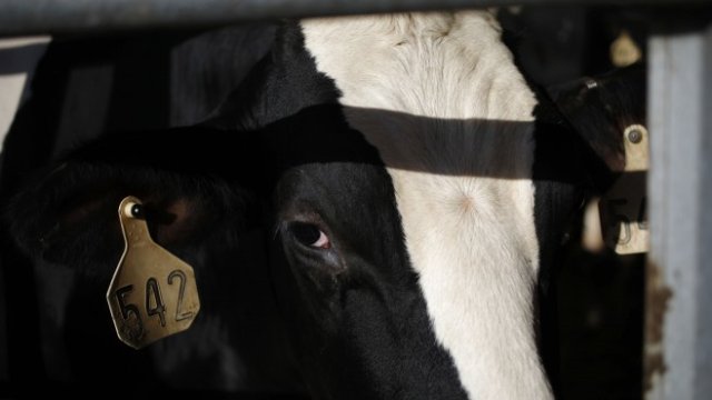 <p>
	<em>Снимка: Luke Sharrett/Bloomberg</em></p>
