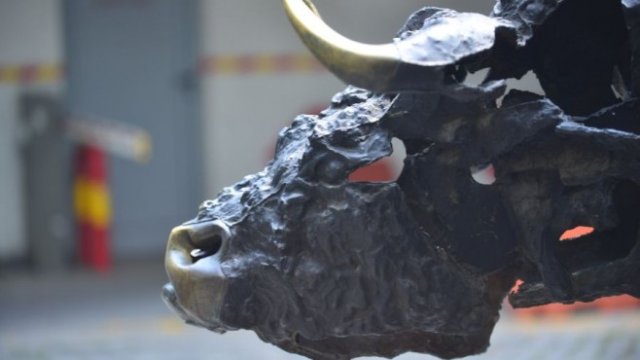 <p>
	<em>Снимка: БФБ АД</em></p>
