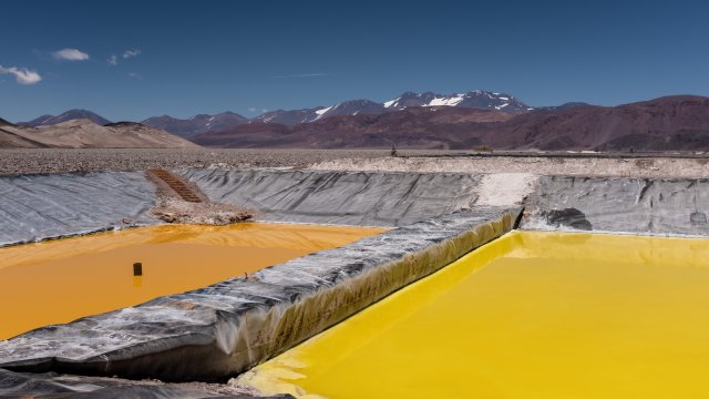 Снимка: Bloomberg L.P.