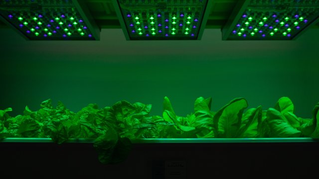 Снимка: Bloomberg L.P.