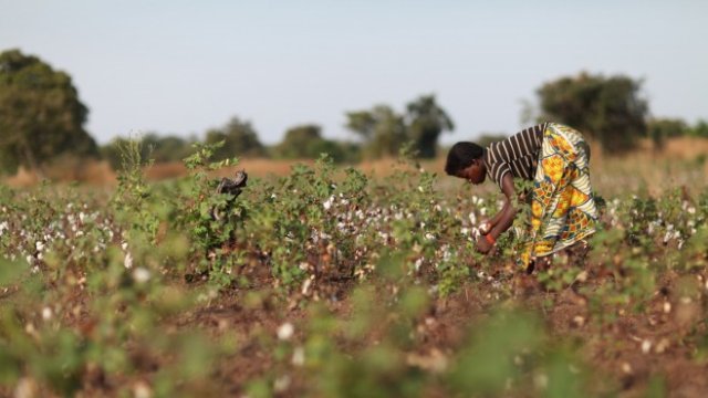 <p>
	<em>Снимка: Bloomberg</em></p>
