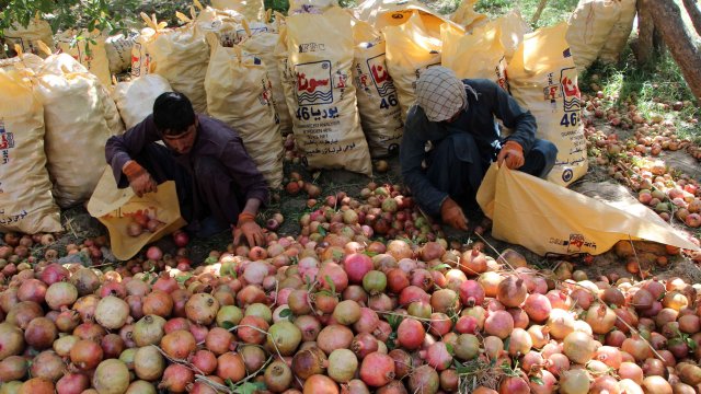 Снимка: БГНЕС/ЕРА