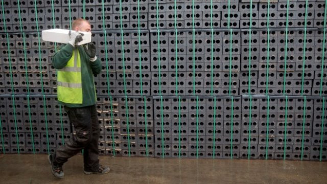 <p>
	<em>Снимка: Архив Ройтерс</em></p>
