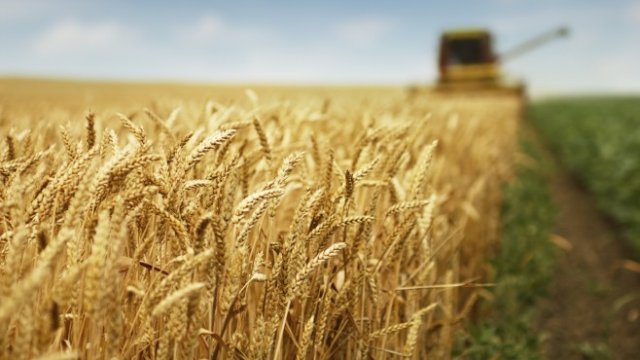 Агрион стартира отдаване на земя под наем с търгове