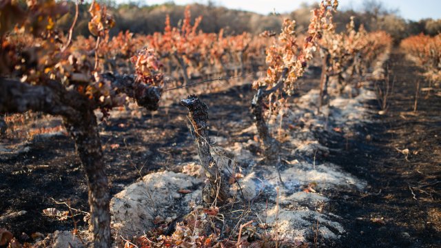 Снимка: Bloomberg L.P.