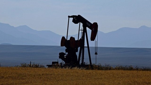 <p>
	<em>Снимка: Pixabay</em></p>
