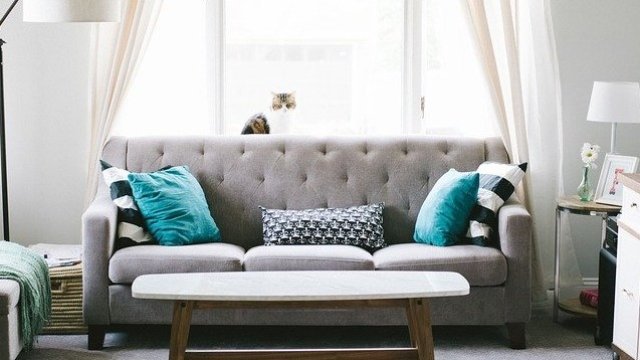 <p>
	<em>Снимка: Pixabay</em></p>
