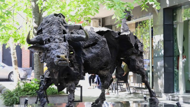 Снимка: БГНЕС/Ралица Белчева