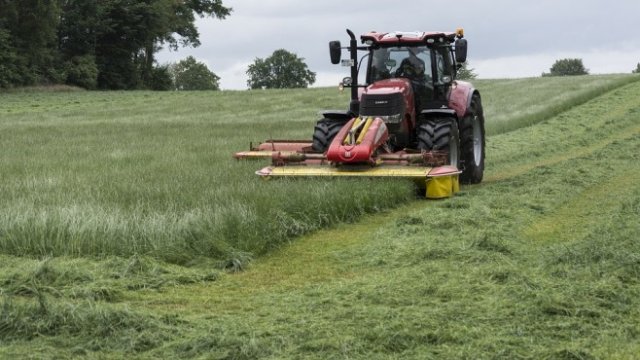 <p>
	<em>Снимка: Pixabay</em></p>
