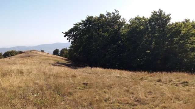 <p>
	Снимка: Investor.bg</p>
