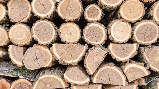 <p>
	<em>Снимка: Pixabay</em></p>
