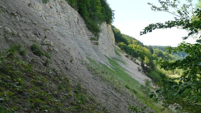 <p>
	<em>Снимка: Pixabay</em></p>
