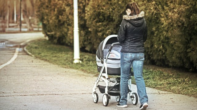 Снимка: Pixabay