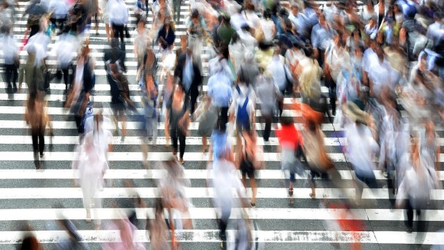 Снимка: Pixabay