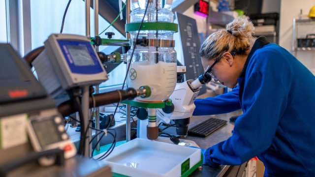 Снимка: Bloomberg L.P.