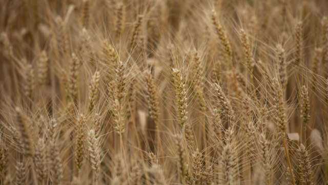 Снимка: Bloomberg LP