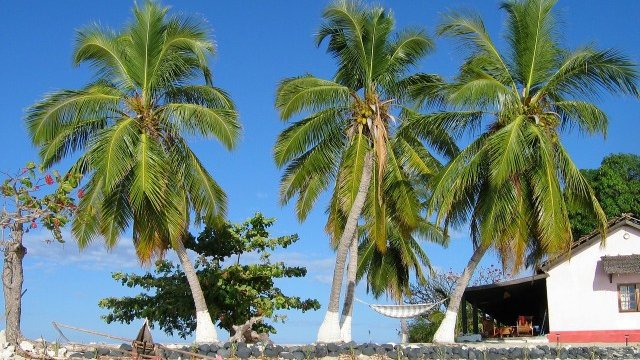 <p>
	<em>Снимка: www.pixabay.com</em></p>
