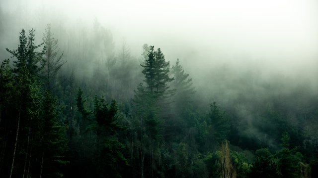 Снимка: Bloomberg L.P.