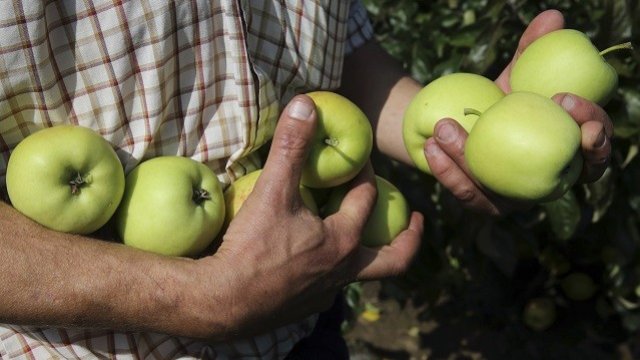 <p>
	<em>Снимка: Ройтерс</em></p>
