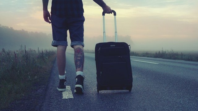 <p>
	<em>Снимка: Pixabay</em></p>
