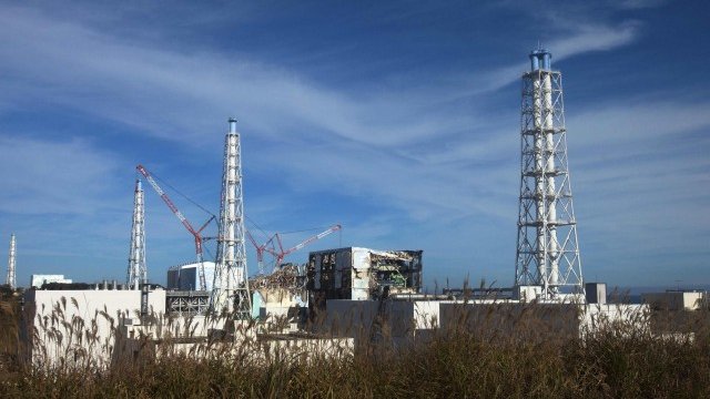 <p>
	Централата &ldquo;Fukushima Dai-ichi&rdquo;. Снимка: Ройтерс&nbsp;</p>
