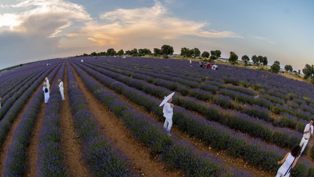 Снимка: EPA/БГНЕС