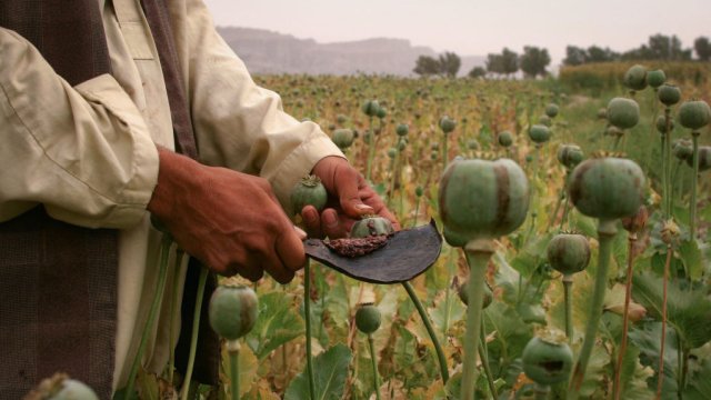 Снимка: Yoray Liberman/Getty Images
