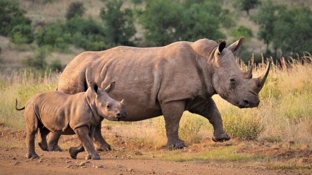 <p>
	<em>Снимка: Pixabay</em></p>
