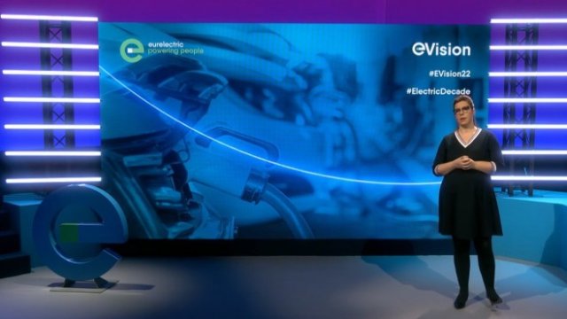 <p>
	<em>Снимка: Кадър от видео от сайта на Eurelectric</em></p>
