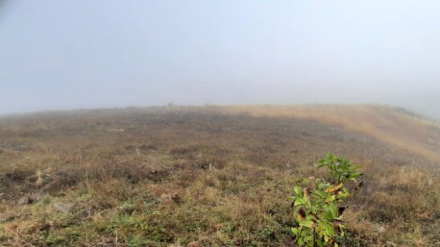 <p>
	<em>Снимка: Investor.bg</em></p>
