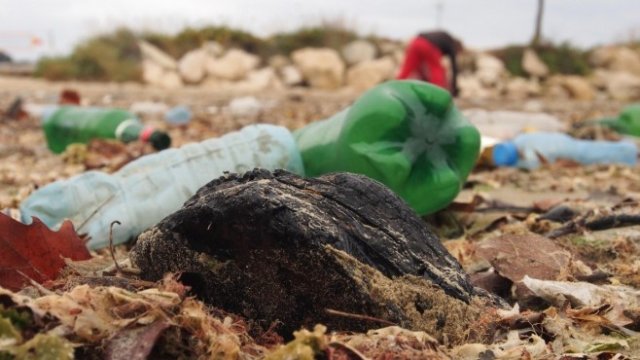 <p>
	<em>Снимка: БГНЕС</em></p>
