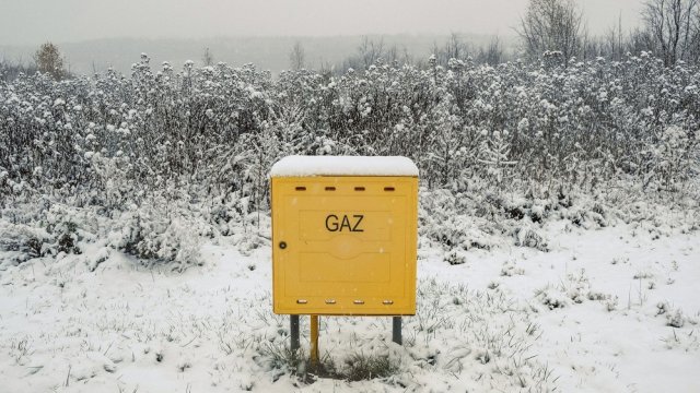 Снимка: Damian Lemański / Bloomberg