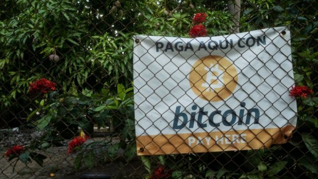 Удавникът Ел Салвадор се хваща са сламката биткойн