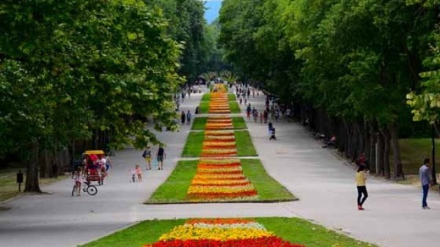 <p>
	<em>Снимка: община Варна</em></p>
