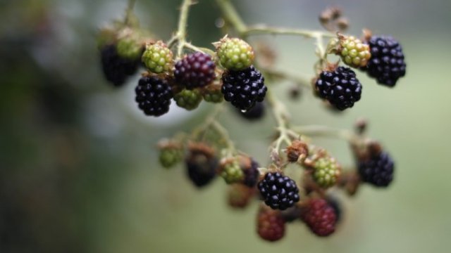 <p>
	<em>Снимка: Архив Ройтерс</em></p>
