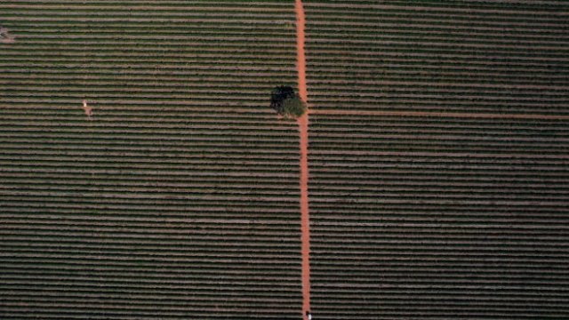 <p>
	<em>Снимка: Jonne Roriz/Bloomberg</em></p>
