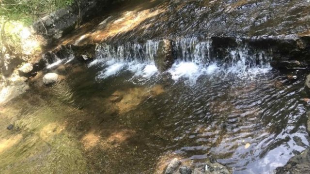 Ив. Иванов: ВиК дружествата искат смяна на регулаторния модел