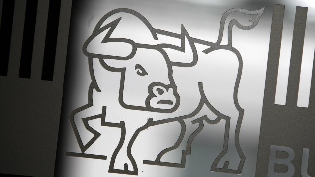 Снимка: БФБ