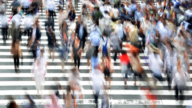 Снимка: Pixabay