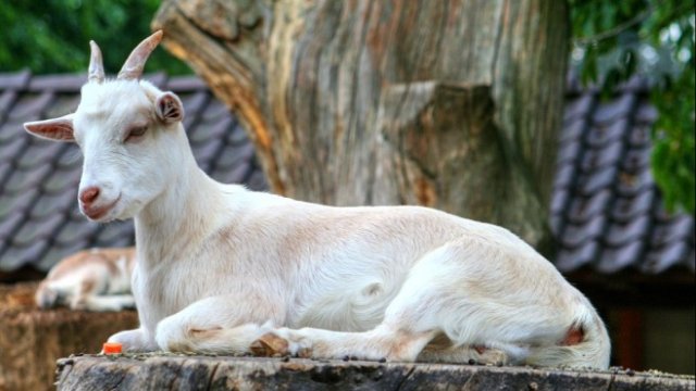 <p>
	<em>Снимка: Pixabay</em></p>
