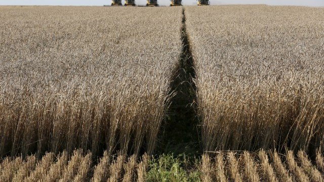 <p style="text-align: justify;">
	<em>Снимка: Ройтерс</em></p>
