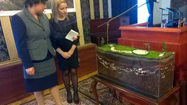 <p>
	<em>Снимка: МОСВ</em></p>
