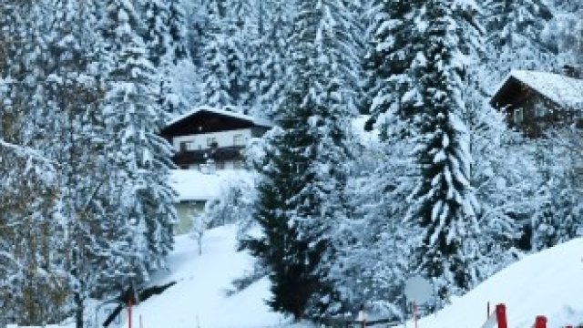 <p>
	<em>Снимка: Архив Ройтерс</em></p>
