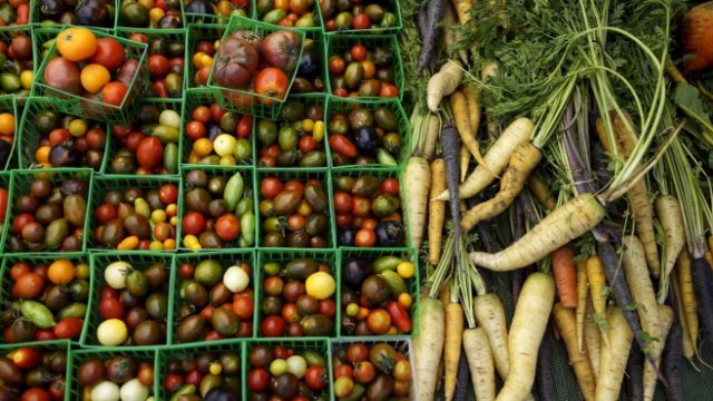 <p>
	<em>Снимка: pixabay.com</em></p>
