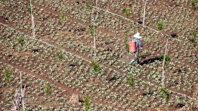 <p>
	<em>Снимка: Pixabay</em></p>
